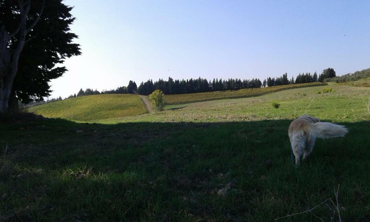 San Donato in Poggio Dolce Cuore Luxe Apartment Chianti Florence Male Romantyczne Mieszkanie מראה חיצוני תמונה